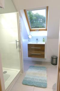 林利斯戈Badgers Den的一间带水槽和淋浴的浴室以及窗户。