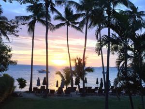 湄南海滩Coco Palm Beach Resort - SHA Extra Plus的享有棕榈树海滩和大海的景色