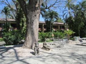 利比里亚埃尔锡蒂奥贝斯特韦斯特酒店及赌场的公园下有树和椅子