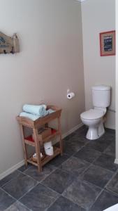 奥玛鲁Little Red School House的一间带卫生间的浴室和一张带毛巾的桌子