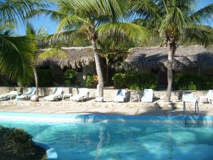 巴拉奥纳省圣克鲁斯Hotel Playazul的一个带棕榈树和椅子的度假游泳池