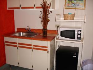 圣胡安波多黎各梦想酒店的一间带水槽和微波炉的小厨房