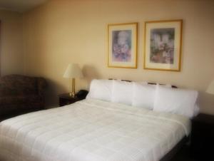 Hopewell Junction乔木岭酒店和会议中心的卧室配有一张白色大床和一把椅子