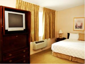 Hopewell Junction乔木岭酒店和会议中心的配有一张床和一台平面电视的酒店客房