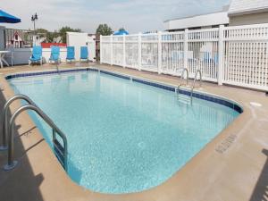 柏斯海滩亚特兰蒂斯旅馆的一个带蓝色椅子的度假村的游泳池