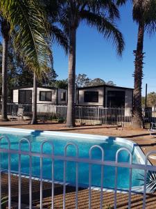 努尔卡巴Wine Country Tourist Park Hunter Valley的一个带围栏和棕榈树的游泳池