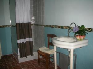 阿尔勒维哥波恩德B&B酒店的一间带水槽和淋浴的浴室