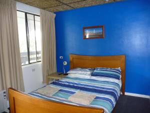 阿德莱德阿德莱德旅行者背包客旅馆的蓝色的卧室,配有一张蓝色墙壁的床