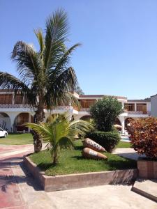 伊察Hotel Cocos Inn的棕榈树庭院和建筑