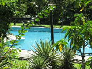 Puerto NariñoEware Refugio Amazonico的花园内的游泳池
