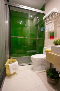 淮南青皮树安徽省淮南市舜耕西路惠利大道酒店的一间带卫生间和绿色淋浴的浴室