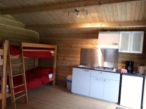泽尔赫姆Camping 't Bosch的一间设有双层床的客房和一间位于小屋内的厨房