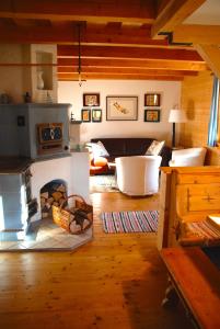 旧明斯特兰豪斯哈赛莫度假屋的带壁炉的客厅。