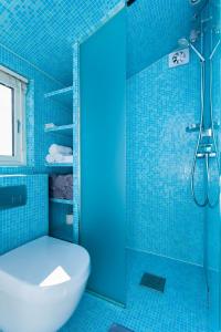 奥斯陆Beach house in Oslo的蓝色的浴室设有卫生间和淋浴。