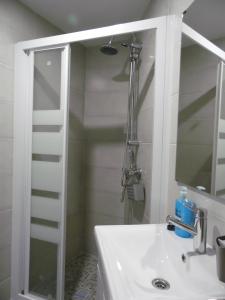 托莱多埃尔帕蒂奥德米卡萨公寓式酒店的带淋浴和盥洗盆的浴室