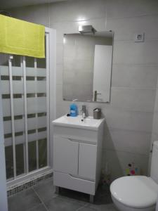 托莱多埃尔帕蒂奥德米卡萨公寓式酒店的浴室配有白色水槽和卫生间。