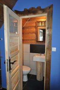 扎科帕内勒根达塔特酒店的一间带卫生间和水槽的浴室