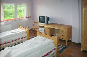 ŞurdeştiPensiunea Amethyst的客房设有两张床和一张书桌及一台电视。