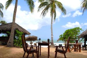 坦加拉Ibisbird Beach Bungalow的棕榈树海滩上的桌椅