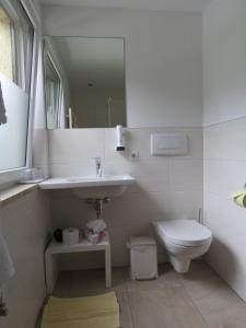 皮森多夫塞耶运动膳食公寓酒店的一间带水槽、卫生间和镜子的浴室