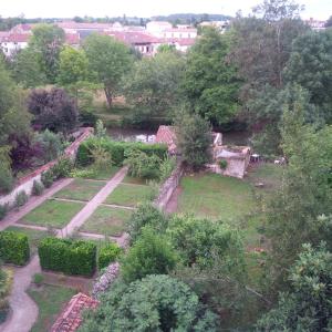 容扎克Residence du marche的享有灌木和树木花园的空中景致