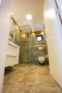 萨拉热窝玫瑰别墅的带淋浴和卫生间的浴室