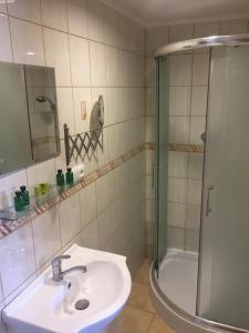 赫拉布斯Apartments Nikol&Alzbetka的一间带水槽和淋浴的浴室