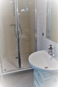 阿姆斯特丹吉娜花园别墅公寓的带淋浴和盥洗盆的浴室