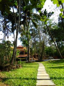 阿斯高Botanique Goa的一条穿过棕榈树公园的小路
