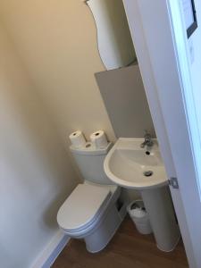 道格拉斯Glenfaba Guest House的一间带卫生间和水槽的小浴室