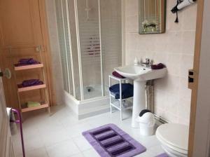 Saint-Pierre-Églisela Tourelle en Normandie的一间带水槽、淋浴和卫生间的浴室
