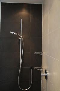 瑙德斯阿尔贝茨贝尔维尤公寓式酒店的浴室内配有淋浴和头顶淋浴