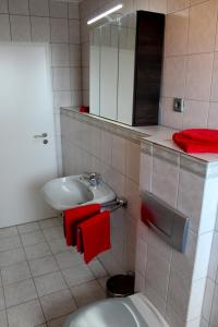威克贝格Fewo Weitsicht的浴室设有卫生间、水槽和红色毛巾。