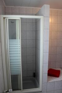 威克贝格Fewo Weitsicht的浴室里设有玻璃门淋浴