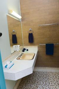 波特兰Portland Retro Motel的一间带水槽和镜子的浴室