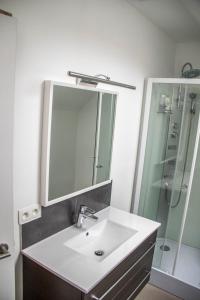 Wakken朱尔斯公寓的浴室配有盥洗盆和带镜子的淋浴