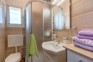 大洛希尼Apartment Tena的一间带水槽、卫生间和镜子的浴室