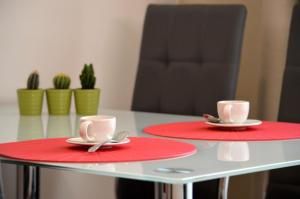 布拉格GE Apartments的桌子上两个红盘和杯子