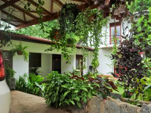 康提比姆度假村的前面有一堆植物的房子
