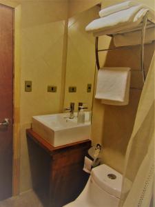 库拉考廷Cafe & Hostal Acurruka的一间带水槽、卫生间和镜子的浴室
