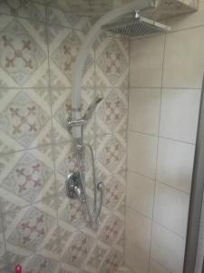 埃拉特Casa Rosa的带淋浴喷头的浴室