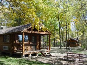 West SalemNeshonoc Lakeside Camping Resort的树林中的一个小木屋,配有野餐桌