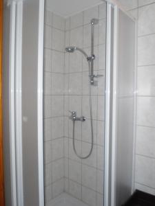 捷克克鲁姆洛夫柏德来迪酒店的带淋浴的浴室,带玻璃门