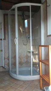 MalonnoLa Via Camuna的一间房间里带玻璃门的淋浴