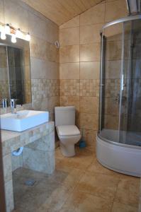 科斯蒂内什蒂Vila Danly的浴室配有卫生间、盥洗盆和淋浴。