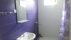 加格拉Guest House on Abazgaa 30的一间带水槽和镜子的浴室