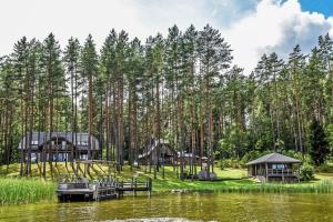 Varniškės IVila Tauragnas的一座拥有湖泊和树木的度假村