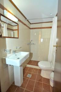 罗希姆诺拜占庭酒店的一间带水槽和卫生间的浴室