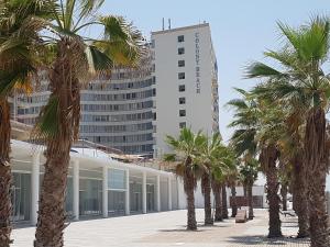 巴特亚姆Apartment Ben Gurion的楼前一排棕榈树