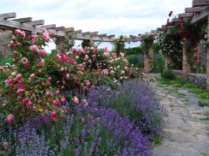 库特纳霍拉特博西兹城堡酒店的一座种有粉红色和紫色花卉的花园,以及一条石头小径